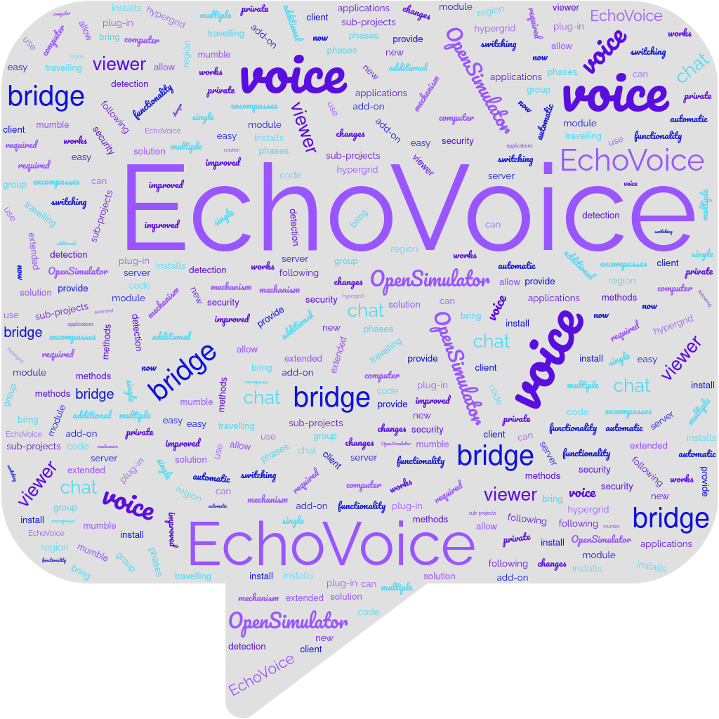 Echo Voice, What Is It?