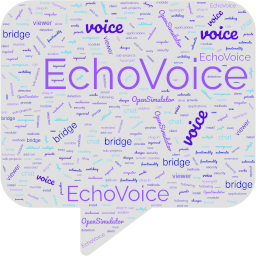 Echo Voice, What Is It?